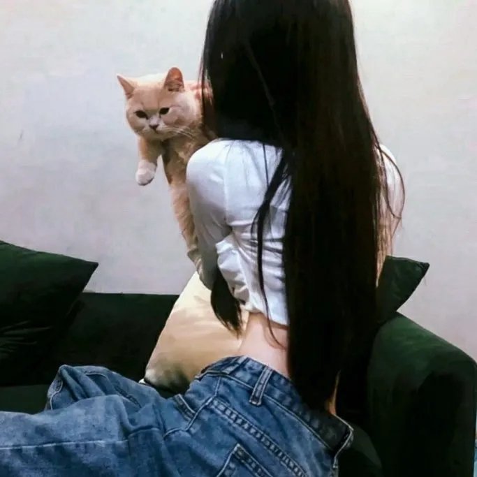 爱乐骑士